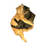 つーくんとかーくん