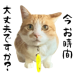 さんじゅーろースタンプ敬語バージョン