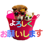 オシャレ姉妹 モモミミ