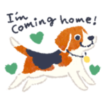 大人の優しいおつきあい＜英語版＞／Dogs