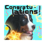 バーニーズ55kg可愛いバディ