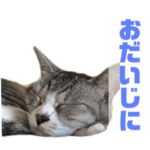 ぺぺさんより…お大事に…