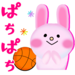 くま/うさぎ/犬/バスケケットボール応援