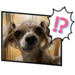 トイプードルのもん&どん