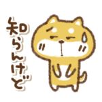 豆柴ぴんちゃん関西弁