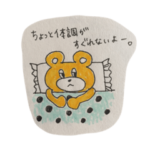 風邪ひいたかも‥！こぐまのヨーキー