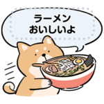 柴犬のメッセージスタンプ