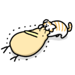 はげしくうごくキーウィ