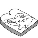 ヒカルくんのGIFスタンプ