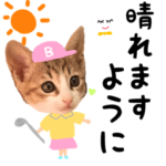 ゴルフ大好きネコ