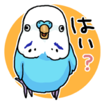 インコのピーコ