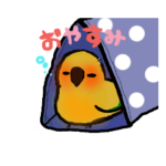 ゆるインコ。