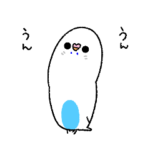 うごくよ♪激しく同意するインコ