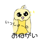 僕のインコはピヨピヨ隊