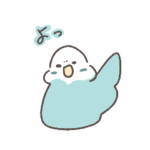 しかめっ面インコ