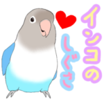 インコのしぐさ2