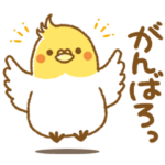 動く♥かわいいオカメインコ