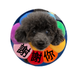 Jason chiu_20220319020258