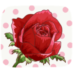 綺麗な花を贈ります 7