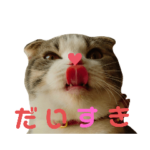 ながそさんちのチコちゃん