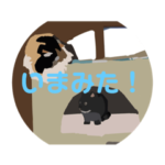 蕾のオシャレイラストスタンプ