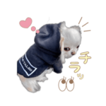 エガちゃんスタンプ