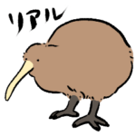 ゆるくないキーウィ