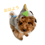 大好き愛犬スタンプ