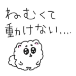 小さめのポメラニアン