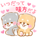 飛び出す⚡気遣い1❤️いやしばいぬ