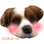 ココちゃんスタンプ（ペット）