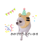 敬語のふーくんスタンプ2022