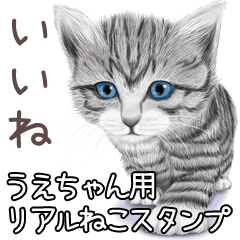 うえちゃん用リアルかわいい猫 Line無料スタンプ 隠しスタンプ 人気スタンプ クチコミサイト スタンプバンク