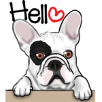 フレンチブルドッグ_英語版