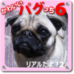 かわいいパグっち6 リアルだよ！2