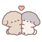 トイプードルのばぶぅちゃん２