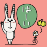 mottoのゆるゆるうさぎ♡毎日