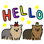 毎日ワンコ☆ヨーキーと一緒