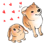 北海道犬とロップイヤーラビット