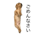 いろいろスタンプ2022❤️