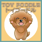 TOY POODLE トイプードル V12