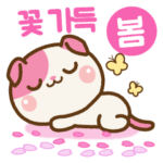 ❤️花いっぱいの春セット