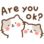 にゃんこの英語スタンプ