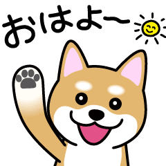 Cute 動く 柴犬スタンプ Line無料スタンプ 隠しスタンプ 人気スタンプ クチコミサイト スタンプバンク