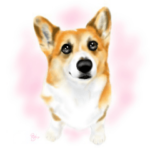 コーギー時々のぺ2