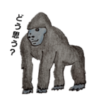 おもしろゴリラ
