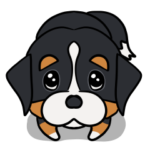 ゆるいバーニーズ02