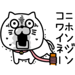 ねこたまっしぐらカタコトーク