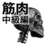 筋肉マニアックスタンプ〜中級〜