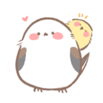 シマエナガ時々ひよこ